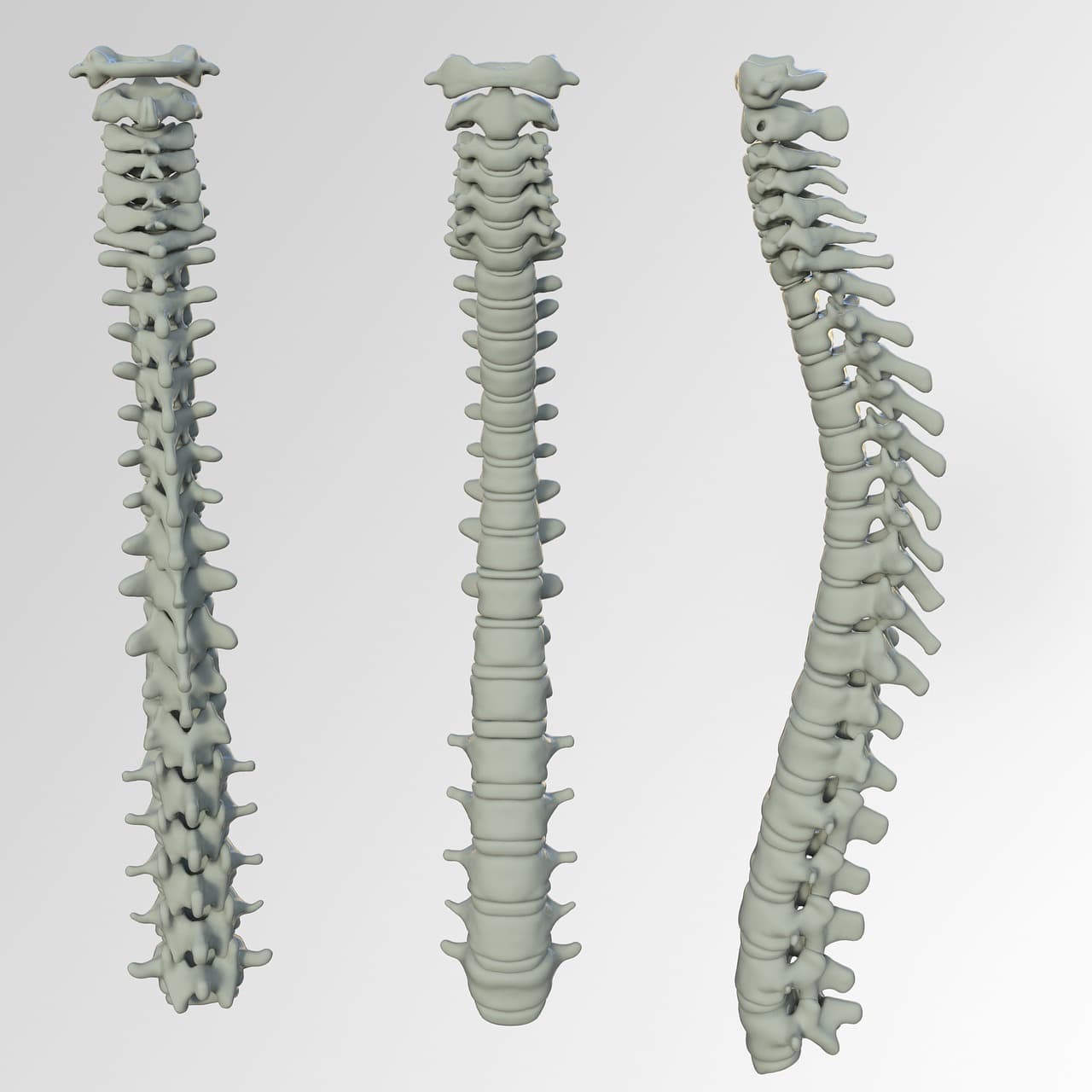 Spinal Screenings